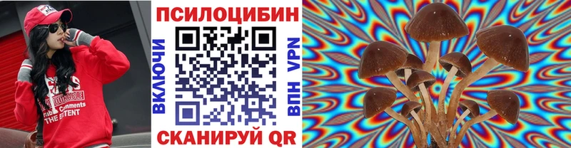 наркота  блэк спрут как войти  Псилоцибиновые грибы Magic Shrooms  Красный Холм 